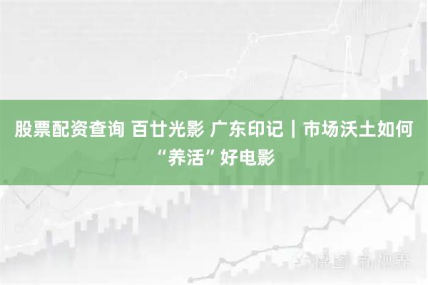 股票配资查询 百廿光影 广东印记｜市场沃土如何“养活”好电影